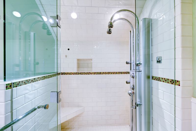 Elegant Glass Shower Door